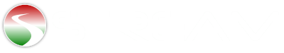 Partner 3 Logo
